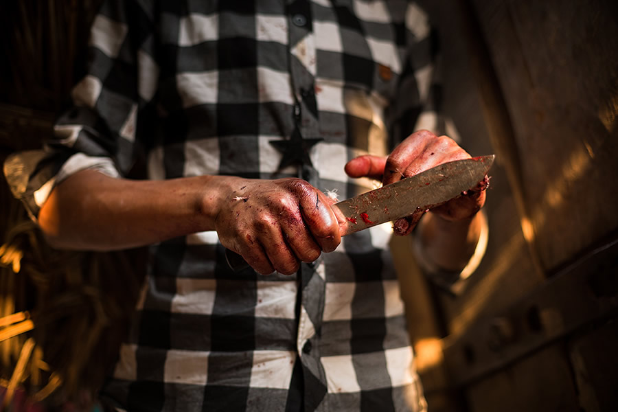 A young kid holding his knife after animal sacrifice during the festival